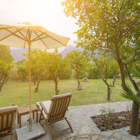 Finca Can Coll Boutique Country House - Adults Only 索列尔 外观 照片