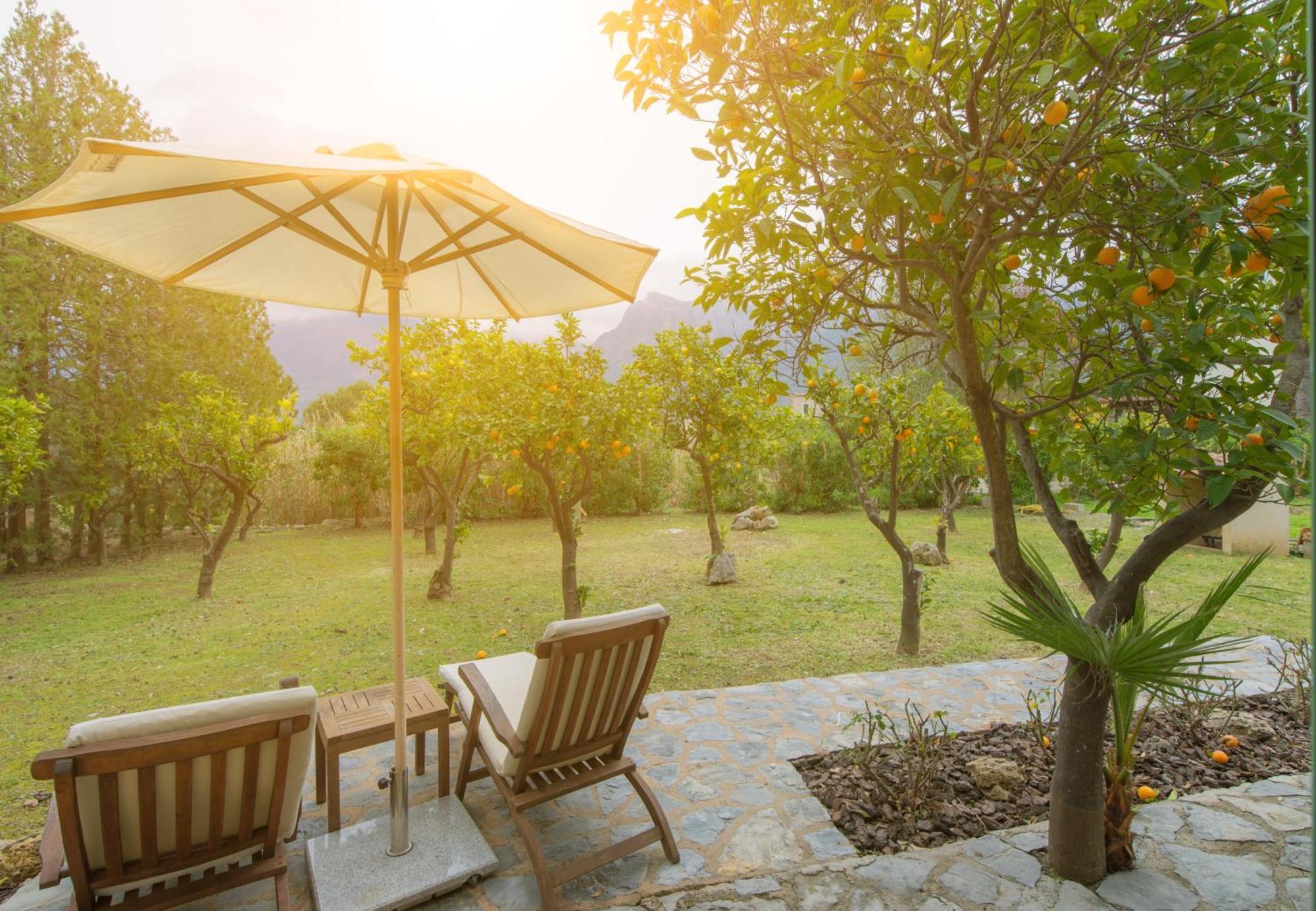 Finca Can Coll Boutique Country House - Adults Only 索列尔 外观 照片
