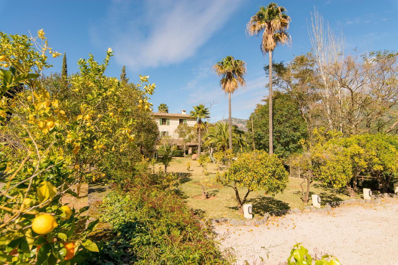 Finca Can Coll Boutique Country House - Adults Only 索列尔 外观 照片